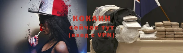 трава Арсеньев