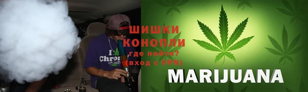 трава Арсеньев