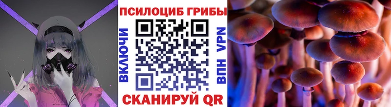 дарнет шоп  Минеральные Воды  Псилоцибиновые грибы мухоморы 